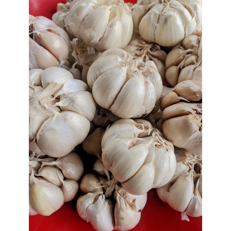 

Bawang putih super premium jumbo 1kg