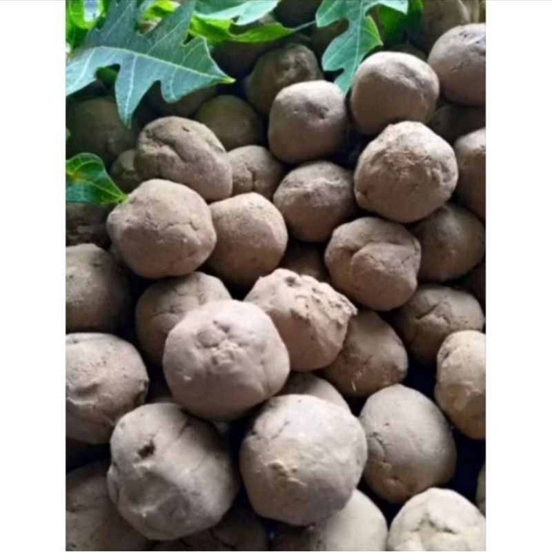 

AMPO TANAH LIAT PUTIH PENGHILANG PAHIT DAUN PEPAYA isi5 biji