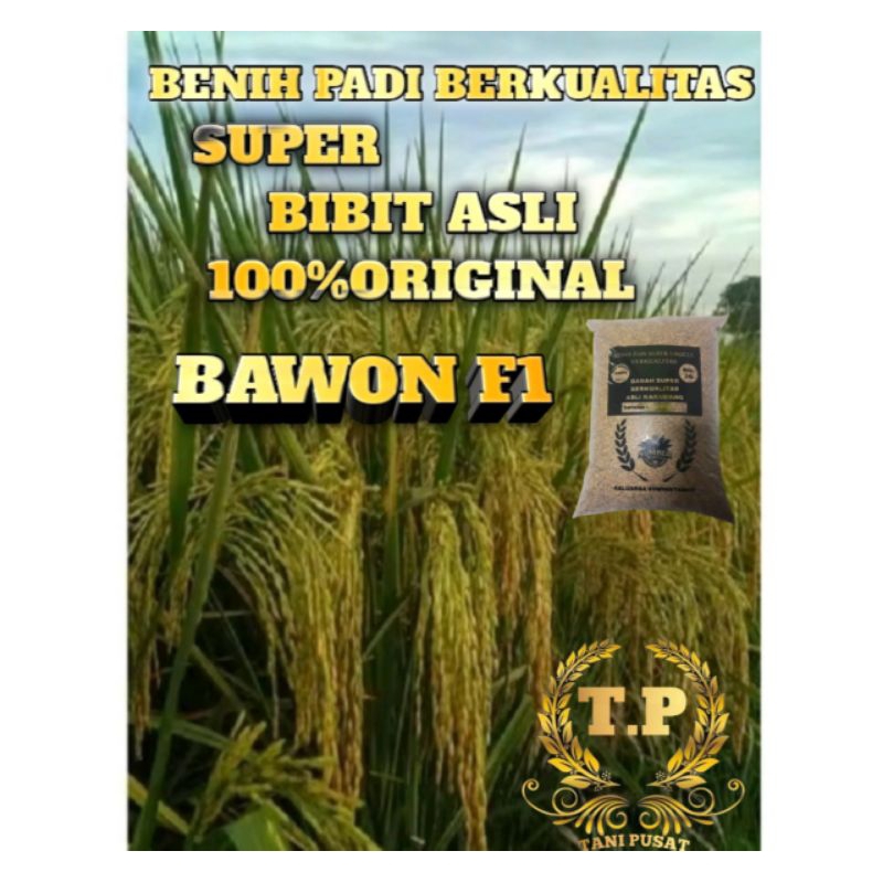 BENIH PADI UNGGUL BAWON F1 SUPER BIBIT ASLI 100%ORIGINAL 2KG