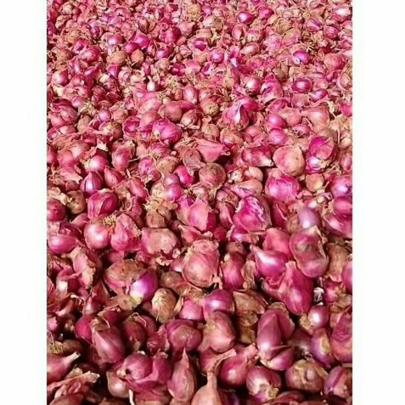 

Bawang merah 1 kg