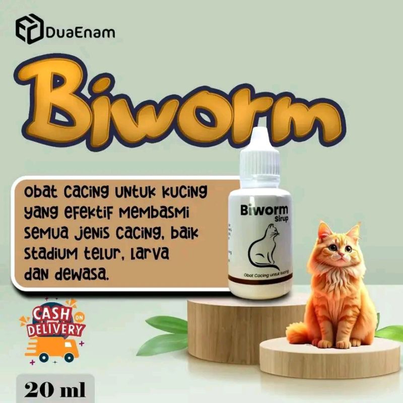 Obat Cacing Kucing Ampuh Biworm Dewasa Kitten