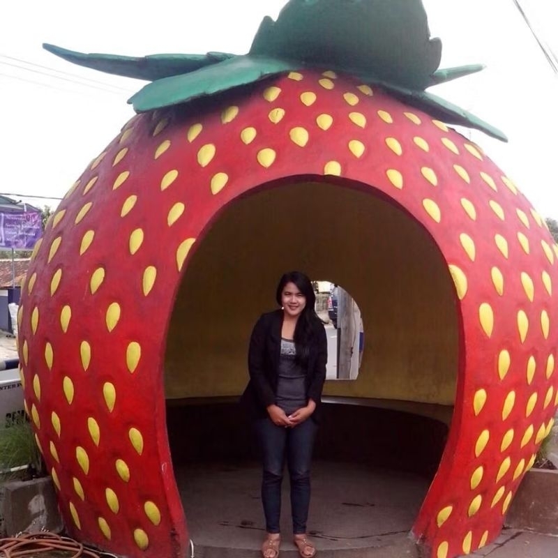 RUMAH STRAWBERRY