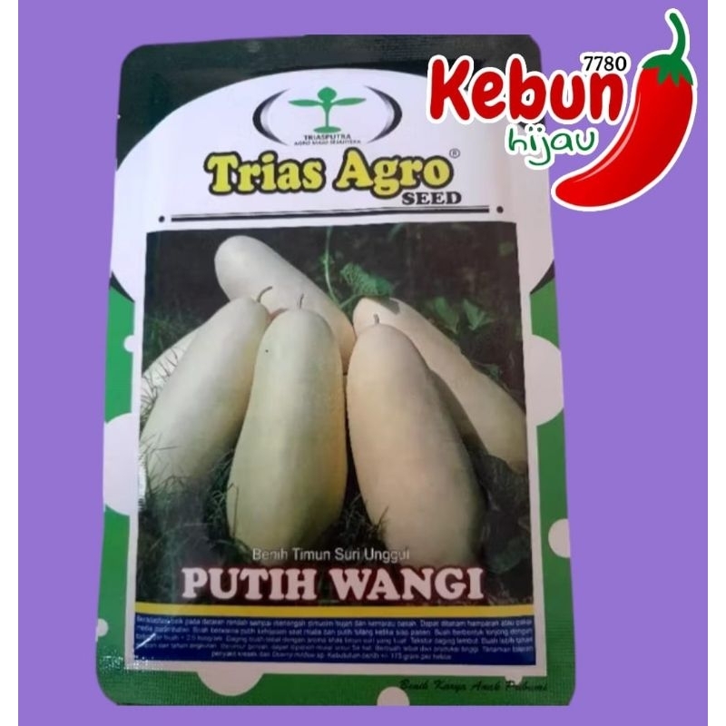 benih timun suri blewah putih wangi 10 gr