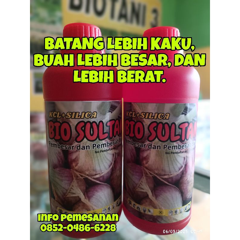 

BIO SULTAN BAWANG MERAH