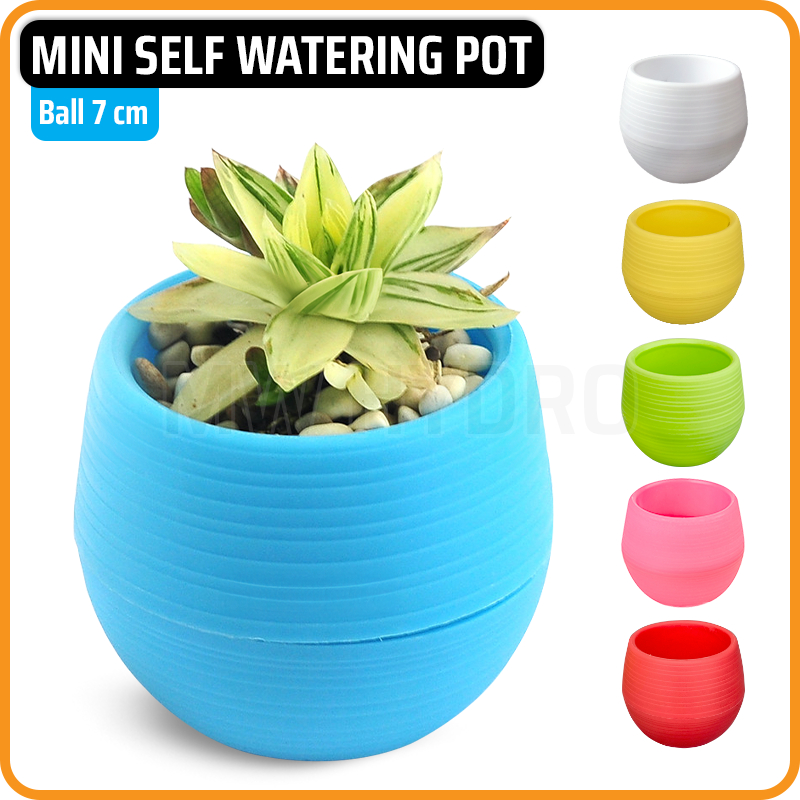 Mini Self Watering Pot, Pot Bulat / Bola, 7 cm