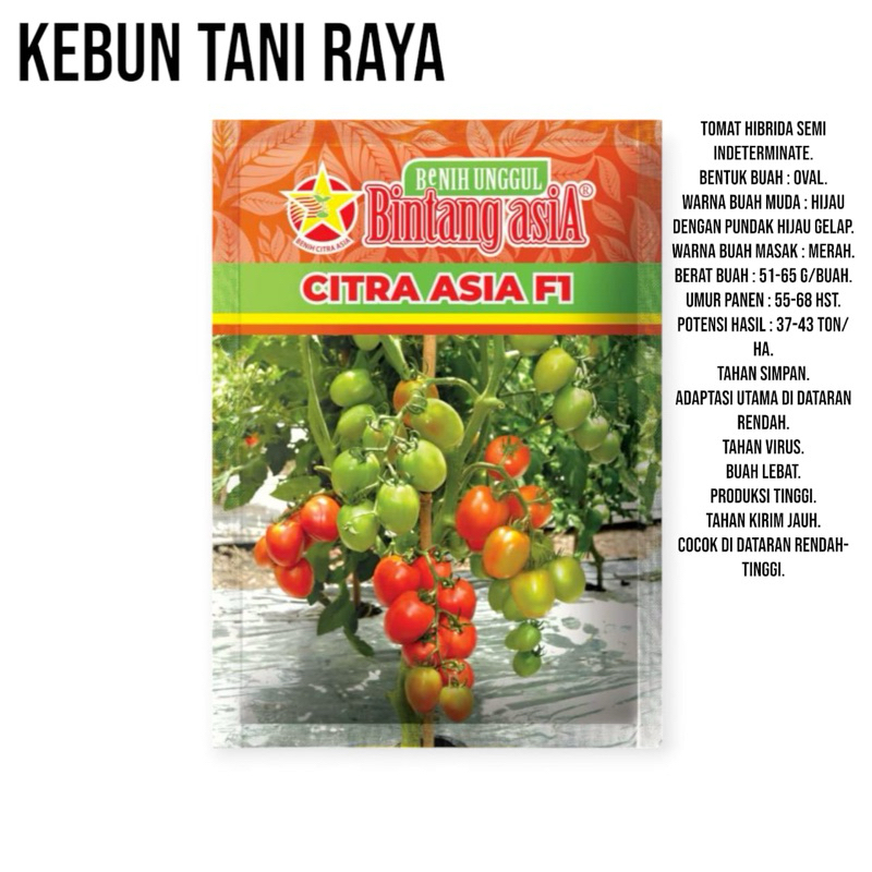 

tomat CITRA ASIA F1 5gr