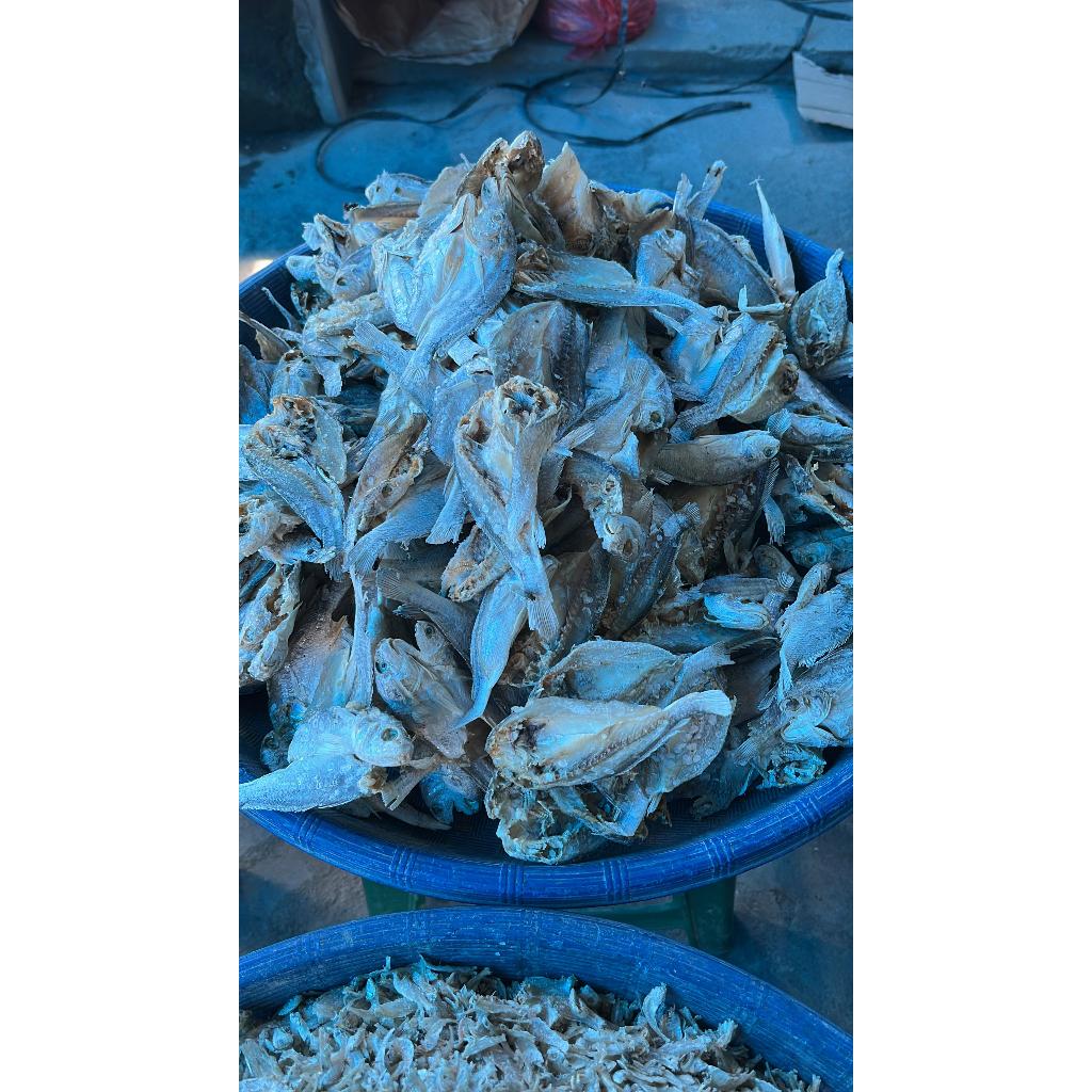 

IKAN ASIN KEPALA BATU BELAH #IKANASIN#TERI
