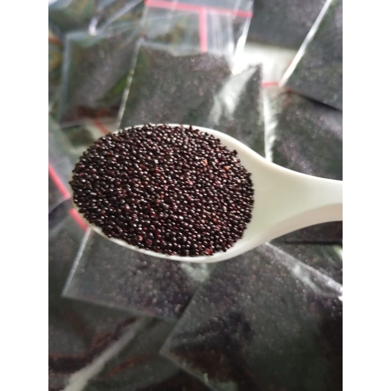 BENIH BAYAM HIJAU POTONG ISI 1000++