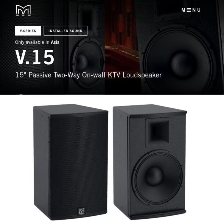 MARTIN AUDIO V.15 | MARTIN AUDIO V15 | MARTIN AUDIO V-15 (Passive Speaker 15 Inch 2000 Watt Peak Pow