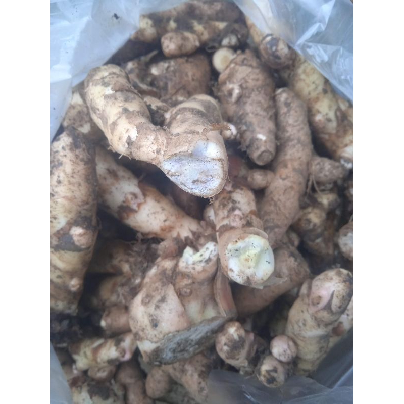 

Temu ireng segar 1 kg