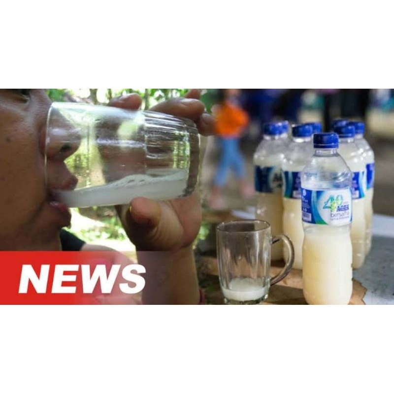 

Minuman Tradisional Sari Pohon Siwalan Alami(Peluruh Batu Ginjal/Empedu)