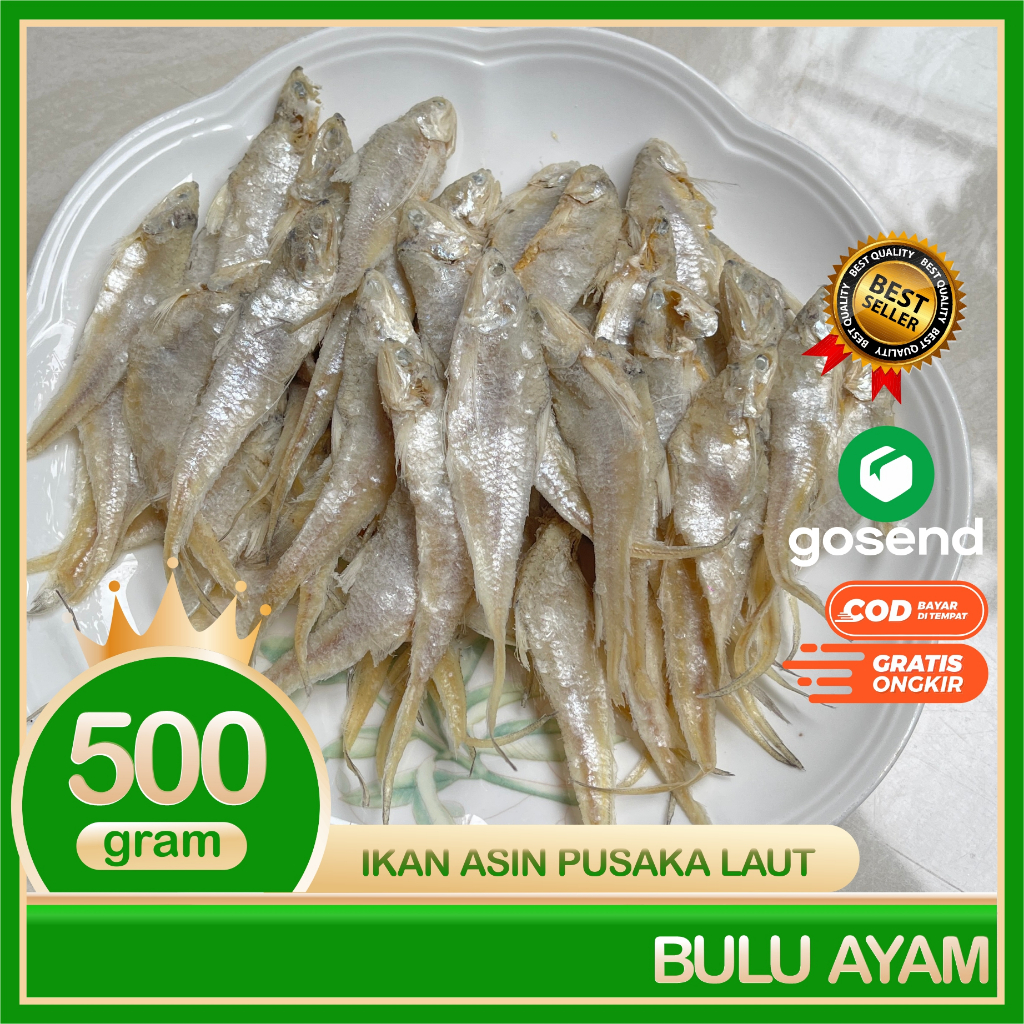 

Terlaris! Bulu Ayam Ikan Asin Super Kering Pum Gram