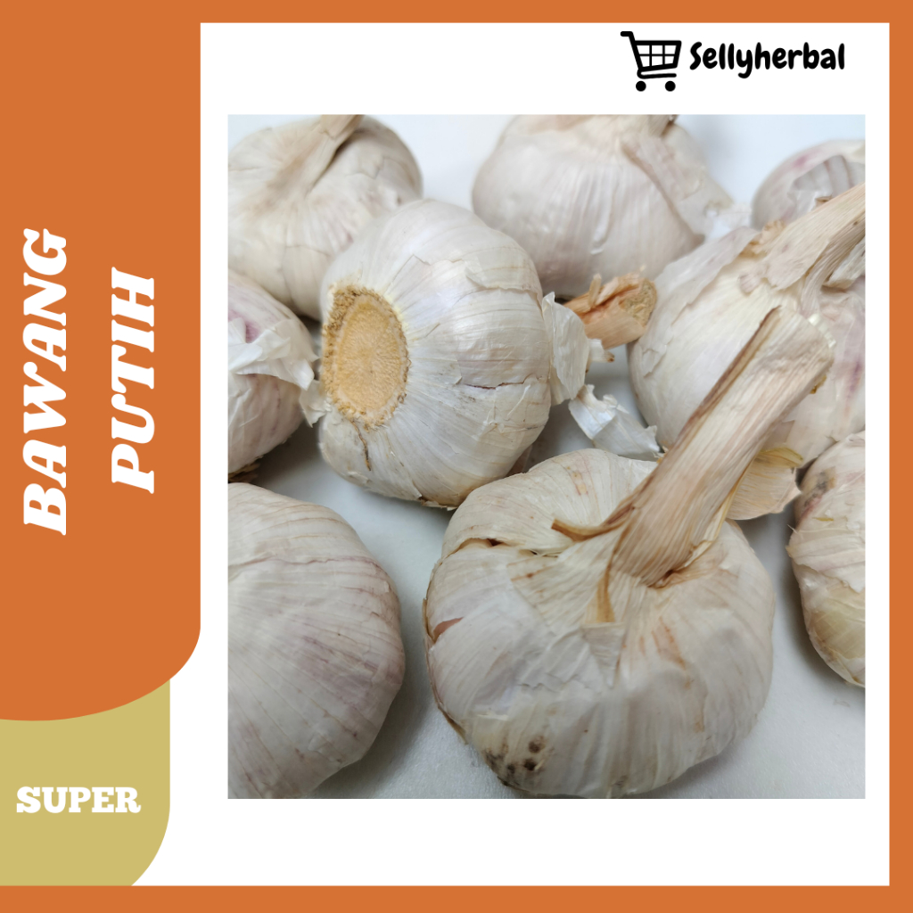 

BAWANG PUTIH BIASA | BAWANG PUTIH PRIME