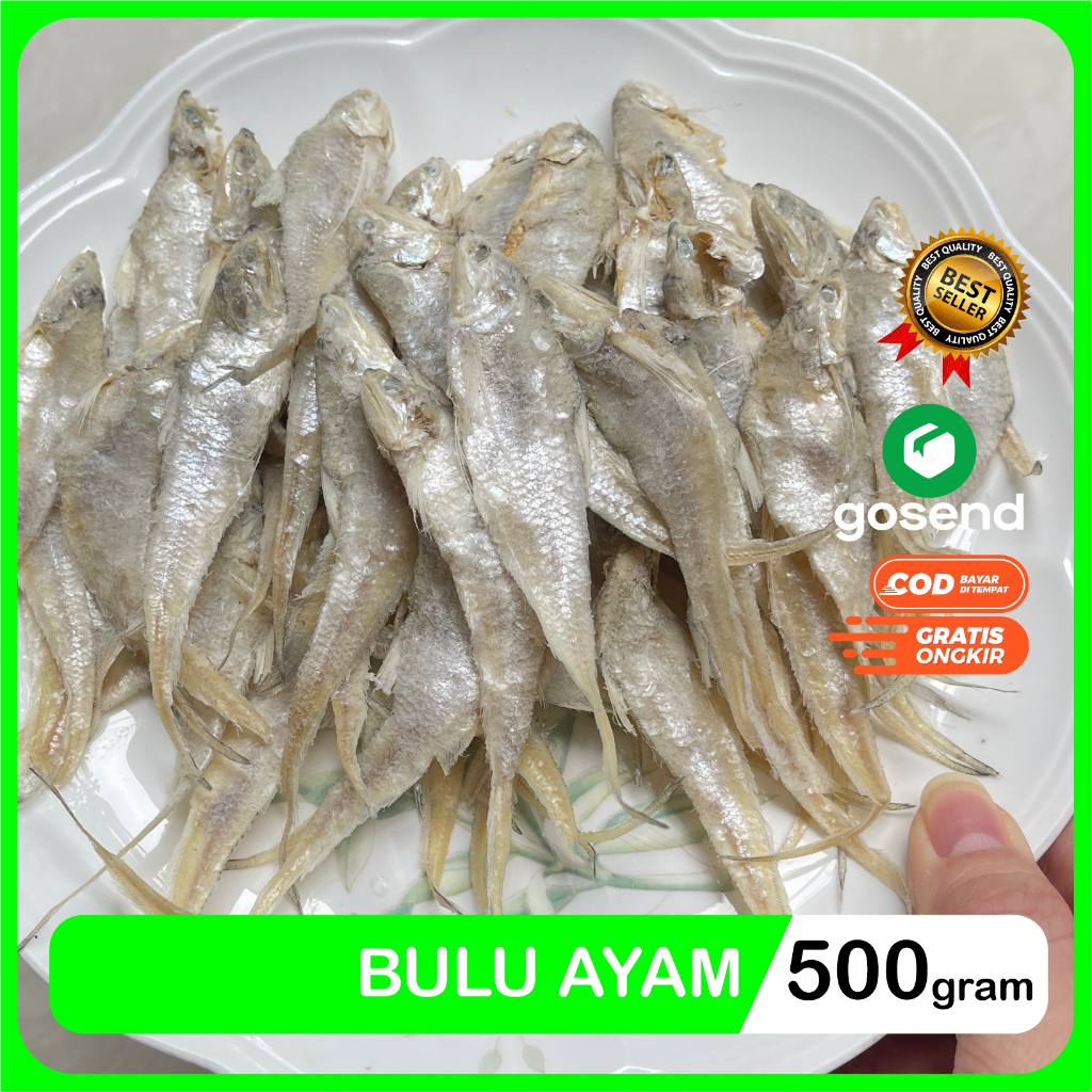 

Ikan Asin Bulu Ayam Kering Super Packing Plastik Seal Vakum 500 Gram