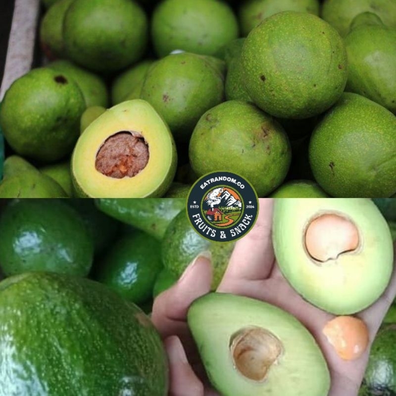 

alpukat segar bergaransi/mengkel 1kg isi 6-7-8