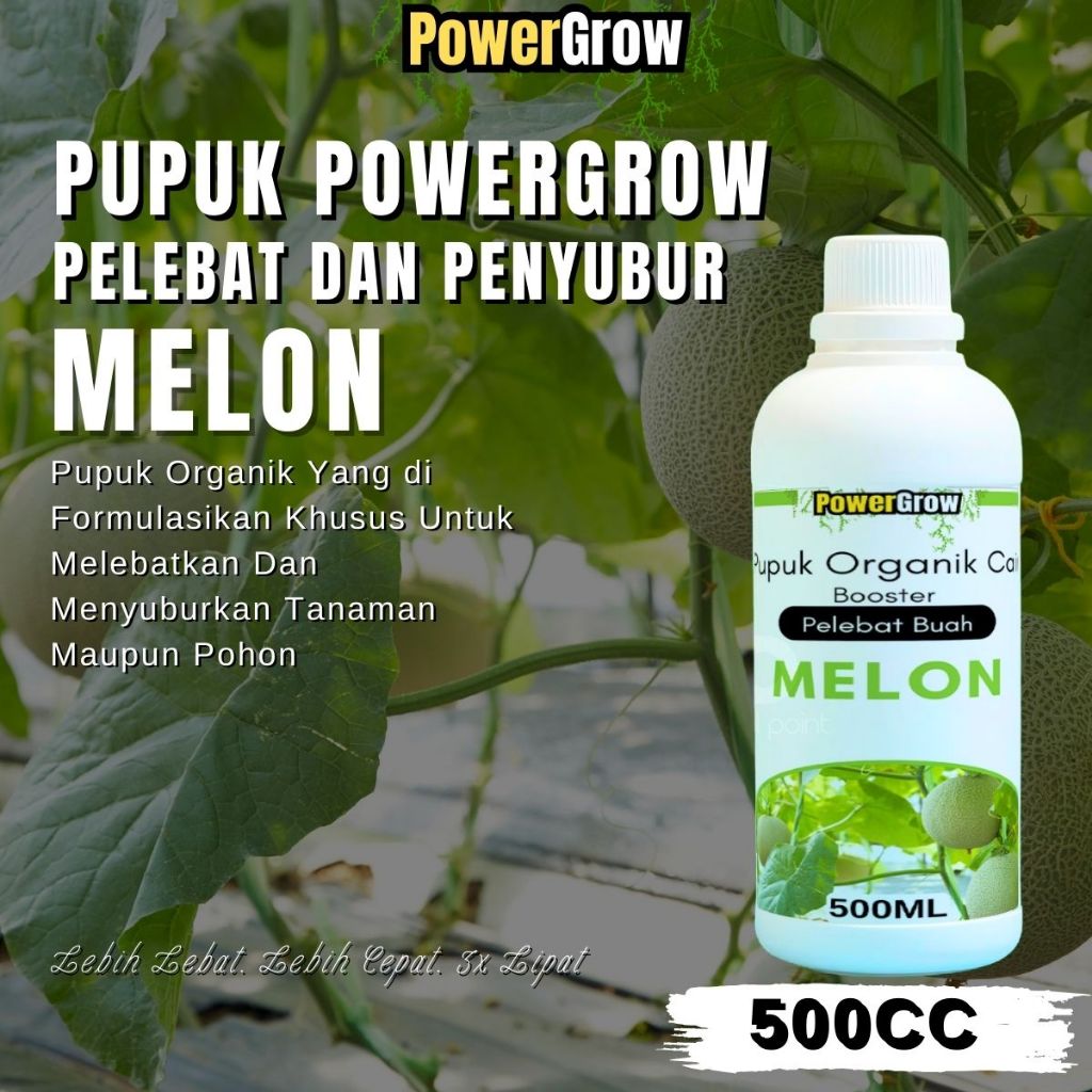 Pupuk Melon Pembesar Buah Dan Penyubur Buah Booster Buah Melon Perangsang Pertumbuhan Buah