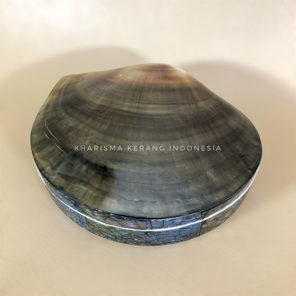 Tahitian Mother of Pearl Jewelry Box Jumbo Kotak Perhiasan Kerang Mutiara by Kharisma Kerang Indones