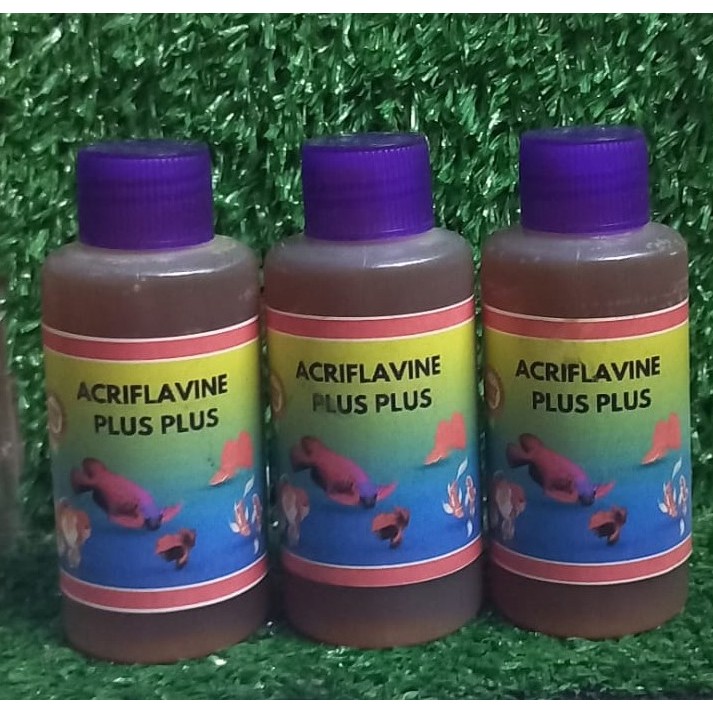 ACRIFLAVINE PLUS 100ML acriflavine / acriflavine plus / acriflavine obat ikan / acriflavine 100ml