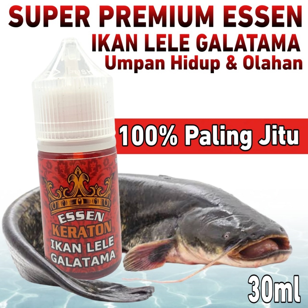 Keraton Essen Galatama Ikan Lele Paling Gacor, Essen Spesialis Galatama Lele Terbaik, Essen Ikan Lel