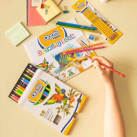 

Agatis Pensil Warna Prime 18 Warna