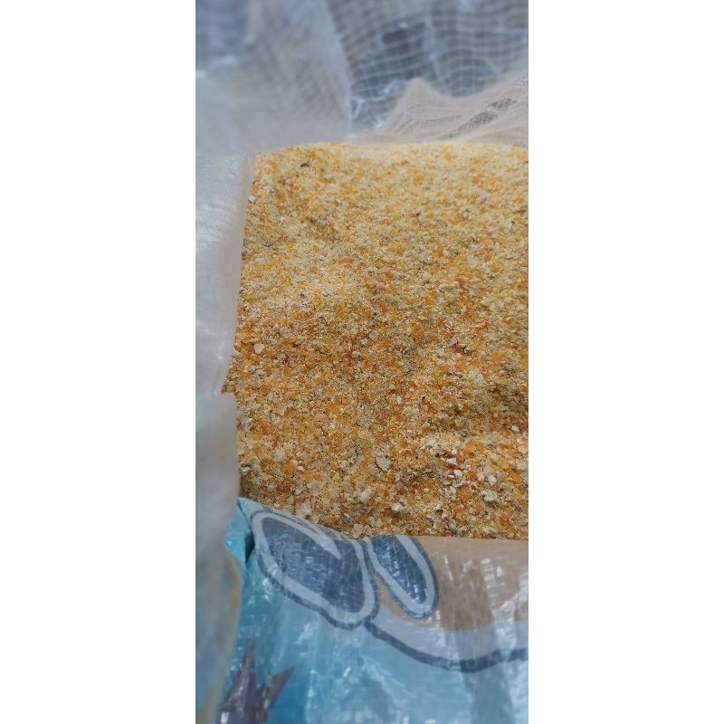 

jagung giling. jagung selep