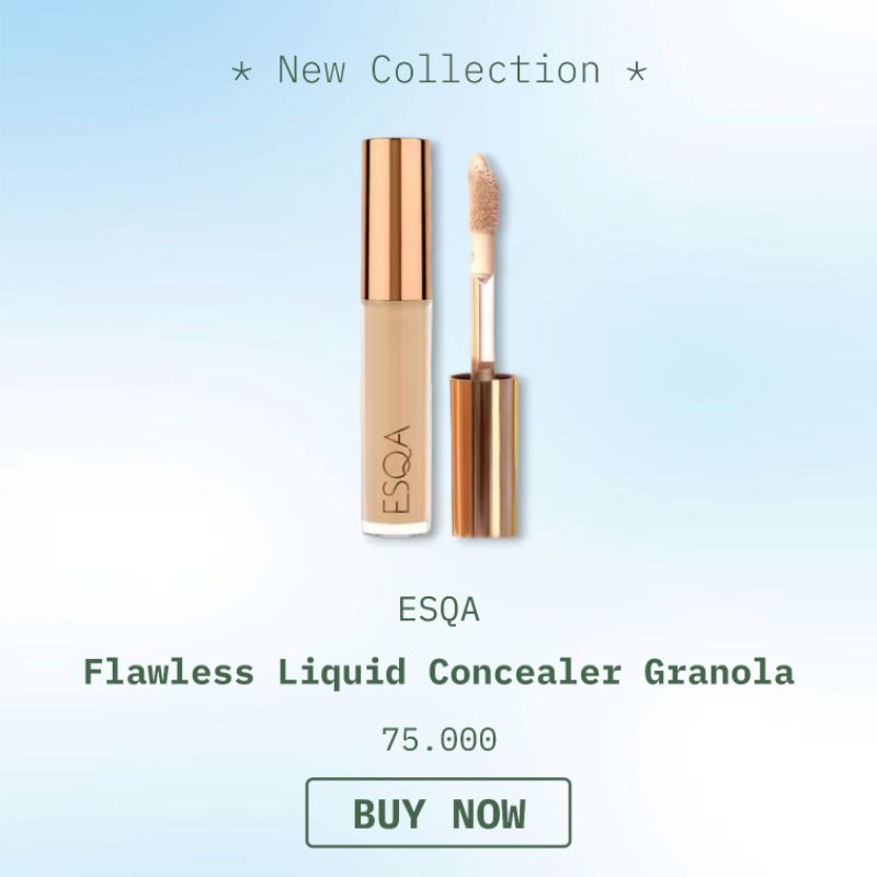ESQA Flawless Liquid Concealer 5gr shade Granola