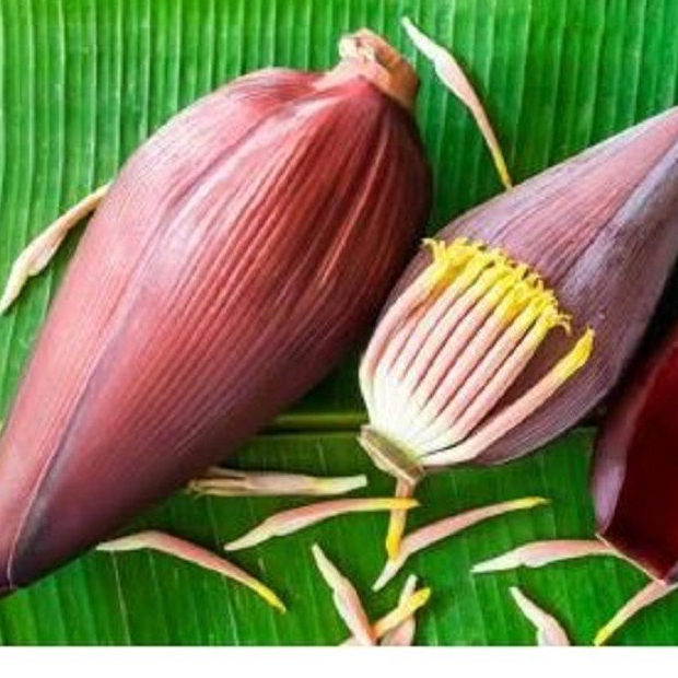 

Sayur Jantung Pisang Segar Utuh Per Buah