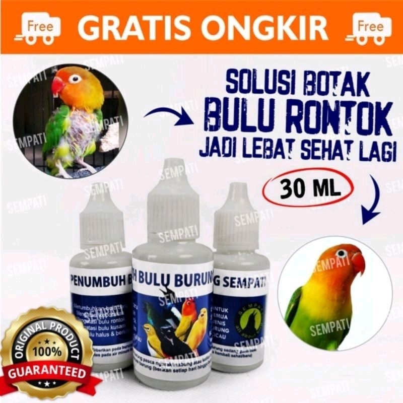Obat Penumbuh Bulu Burung Sempati Obat Burung Bulu Rontok Patah Mabung Ngurak Moulting Lama Bermasal