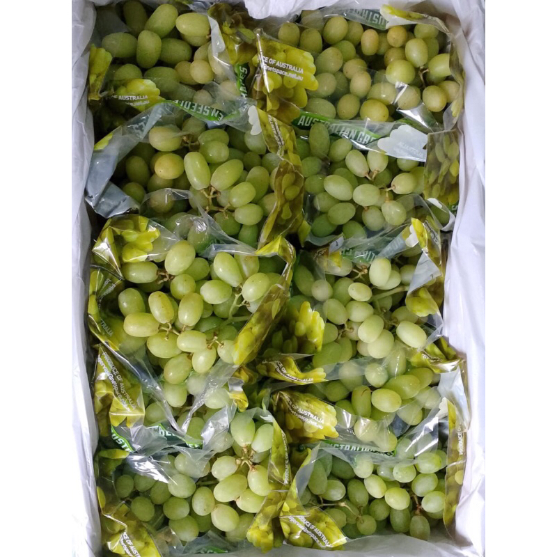 

Anggur Thompson 1kg