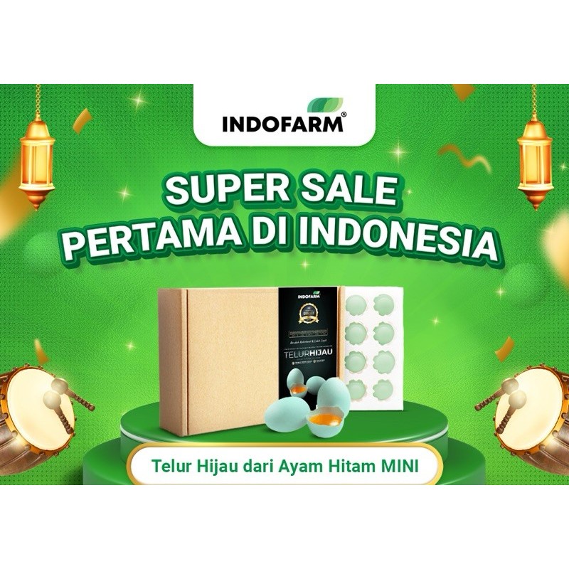 

[SUPER SALE] Telur Hijau dari Ayam Hitam MINI - Telur Organic Indofarm