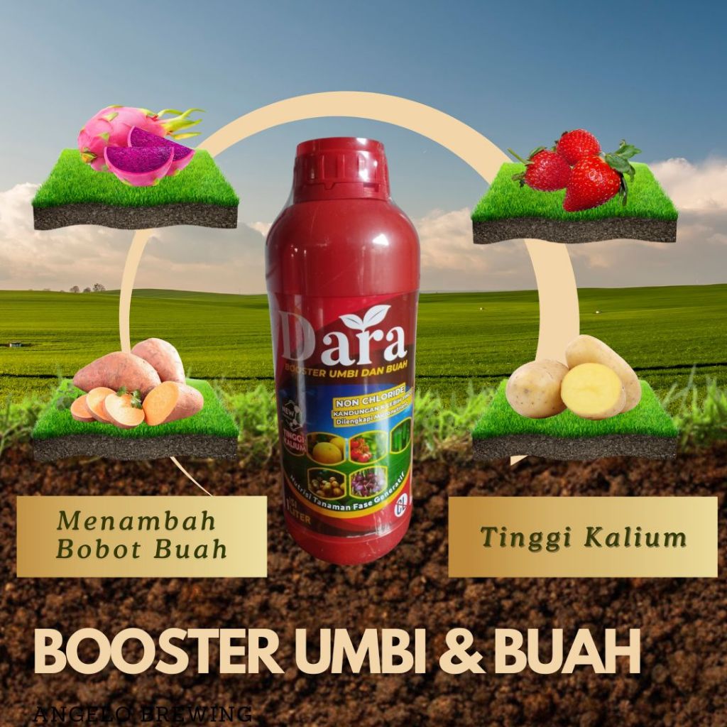 Pupuk Kalium Cair Tanaman Padi, Nutrisi perangsang akar buah & sayur cepat berbuah