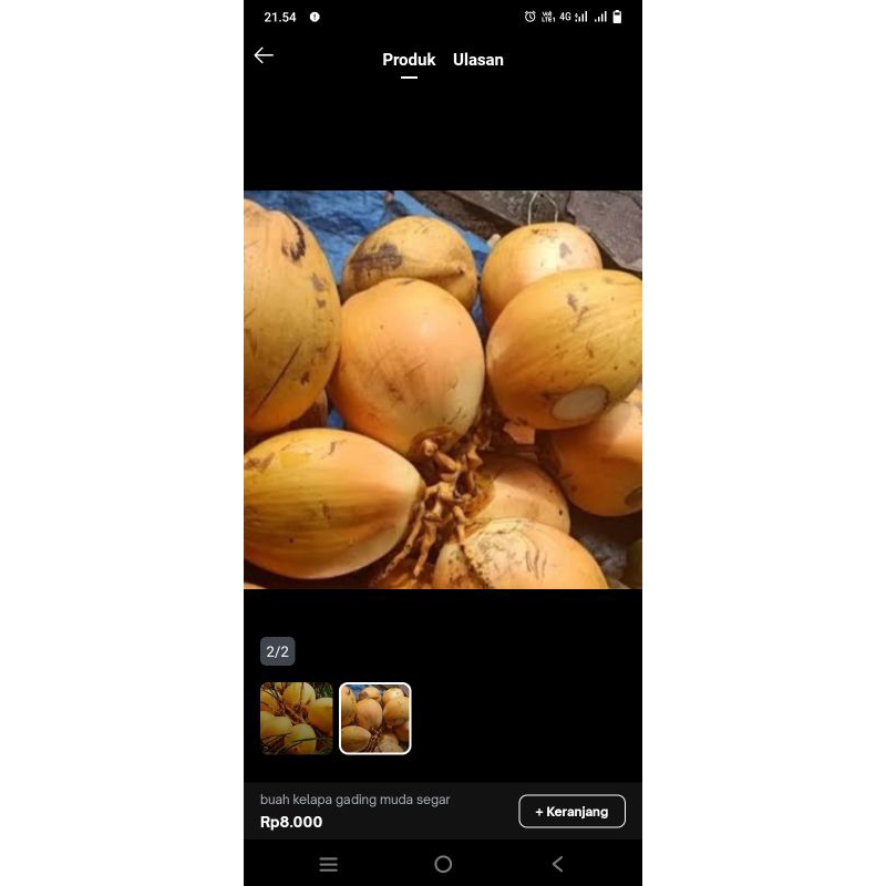 

Buah kelapa gading muda /kelapa orens per pcs