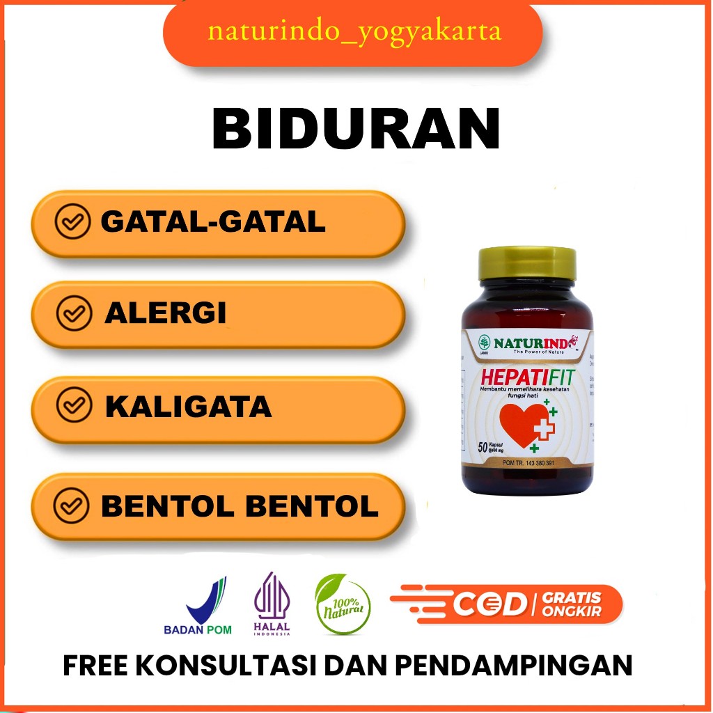 Obat Biduran Alergi Kaligata Bentol Bentol Alami Hepatifit Naturindo