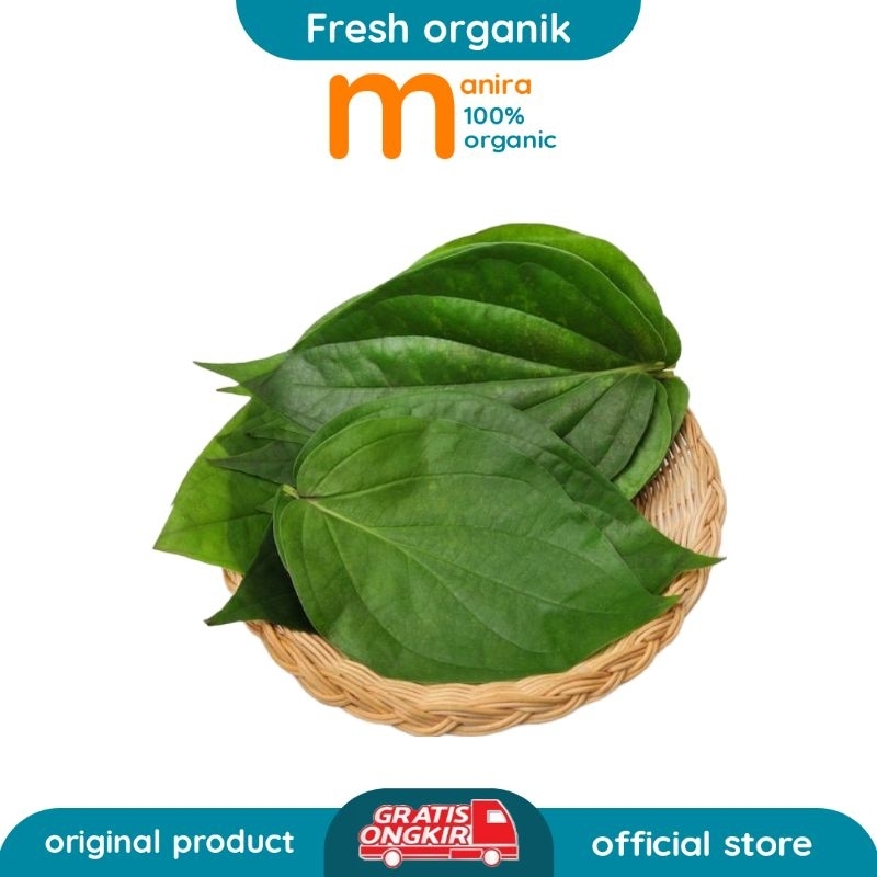 

50 LEMBAR DAUN SIRIH SEGAR ORGANIK