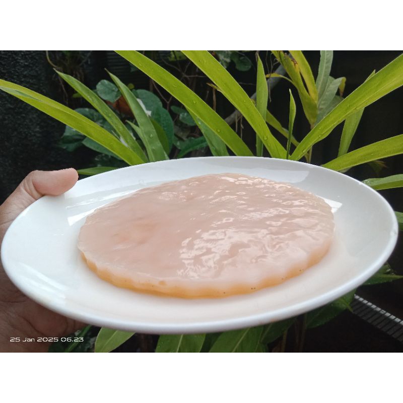 

Scoby Kombucha/ Jamur Dipo/ Jamur Fermentasi Teh/ Scoby+-13-15CM