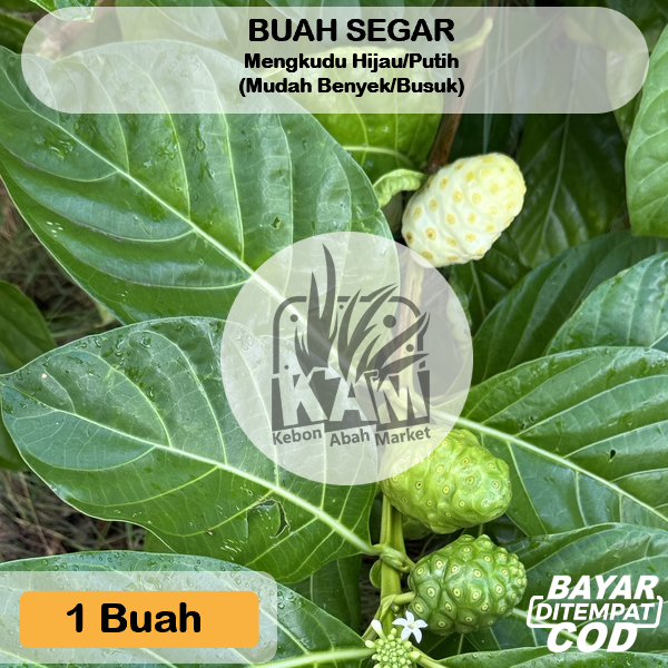 

Mengkudu 1 pcs Bisa COD fresh NON pestisida BUAH CANGKUDU/PACE,HERBAL ALAMI,HIPERTENSI DIABETES