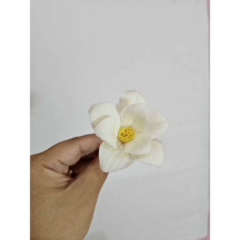 

mountain aven flower gumpaste