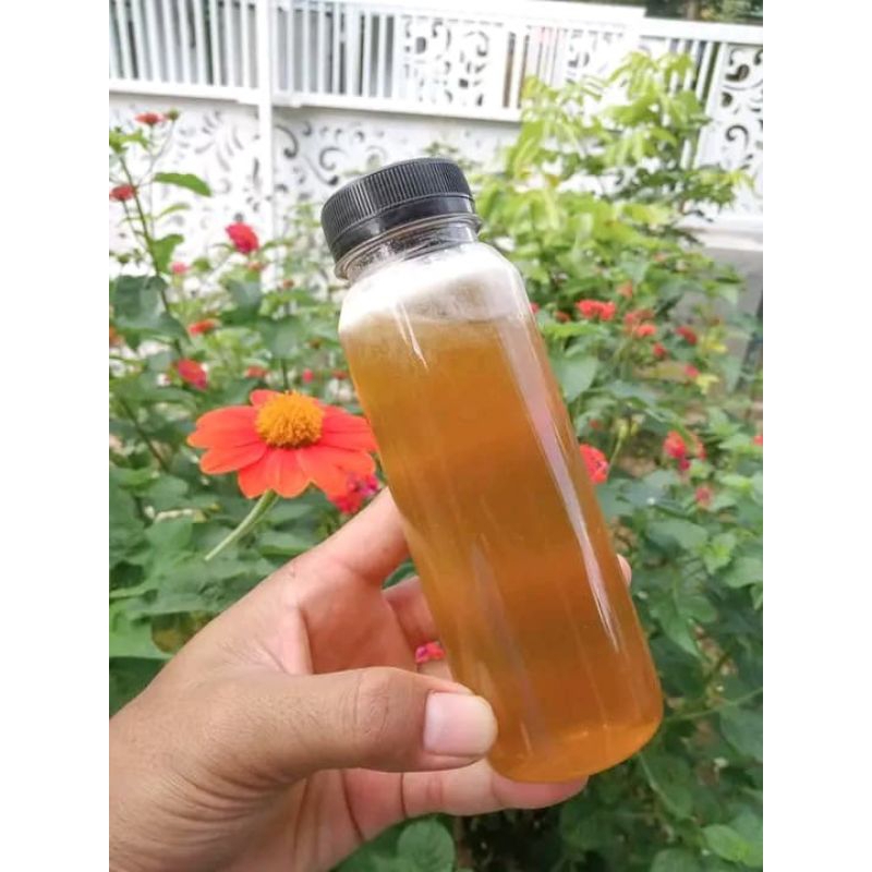 

MADU KLANCENG ASLI 100% FULL NEKTAR BUNGA