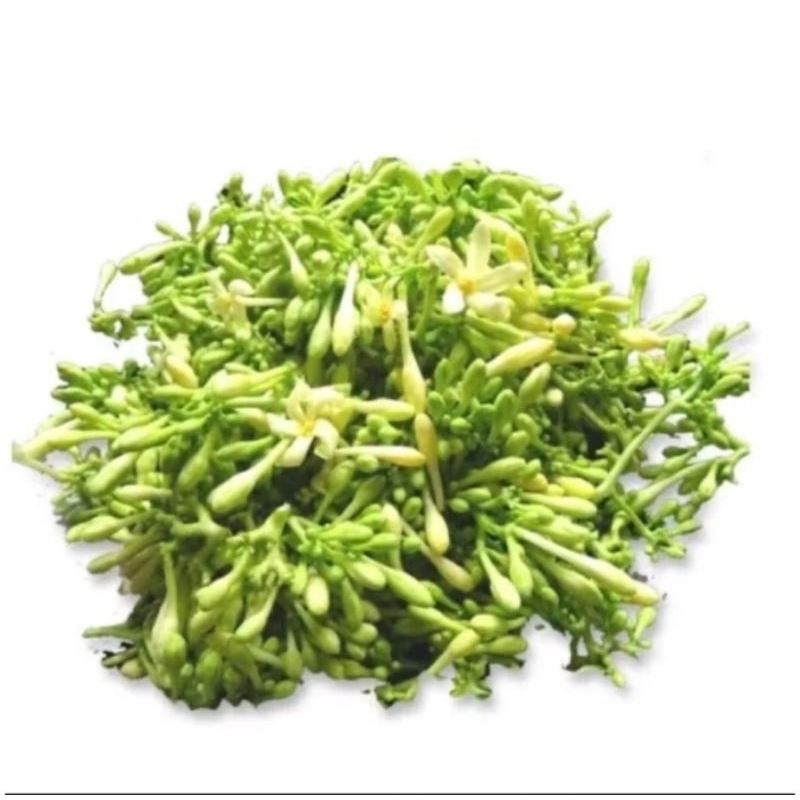 

Bunga pepaya kembang pepaya segar 250gram