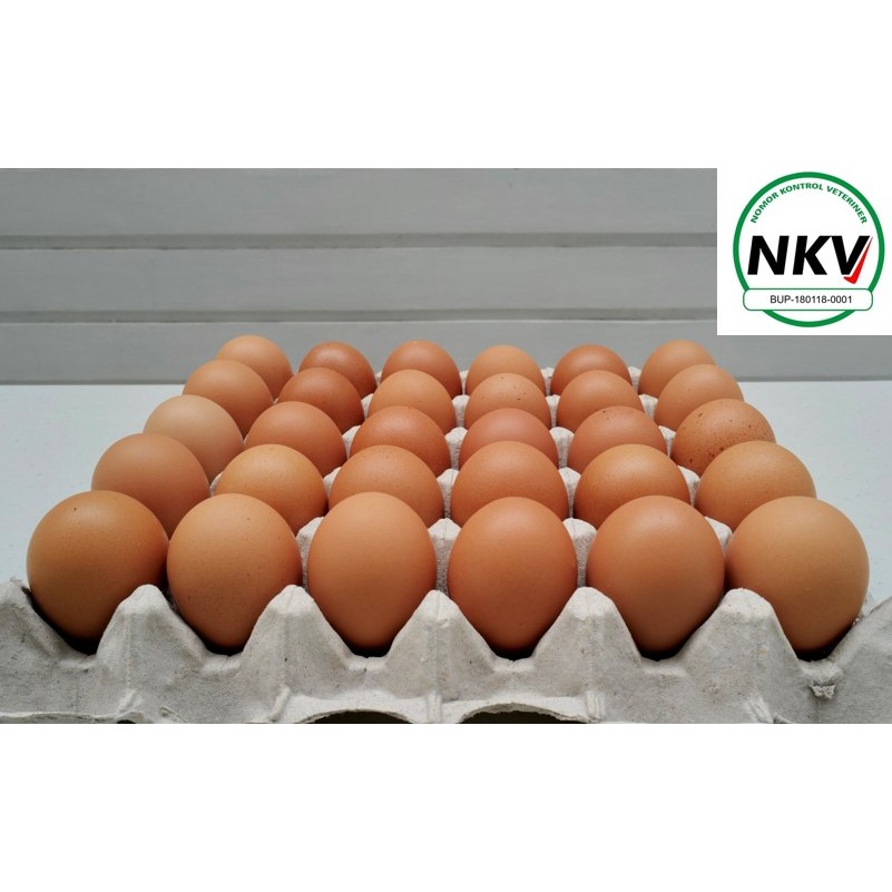 

FRESH EGGS Telur Ayam Negeri 2.04 kg Baker's Egg Ukuran Besar Grade AA-A Hasil Peternakan Sendiri