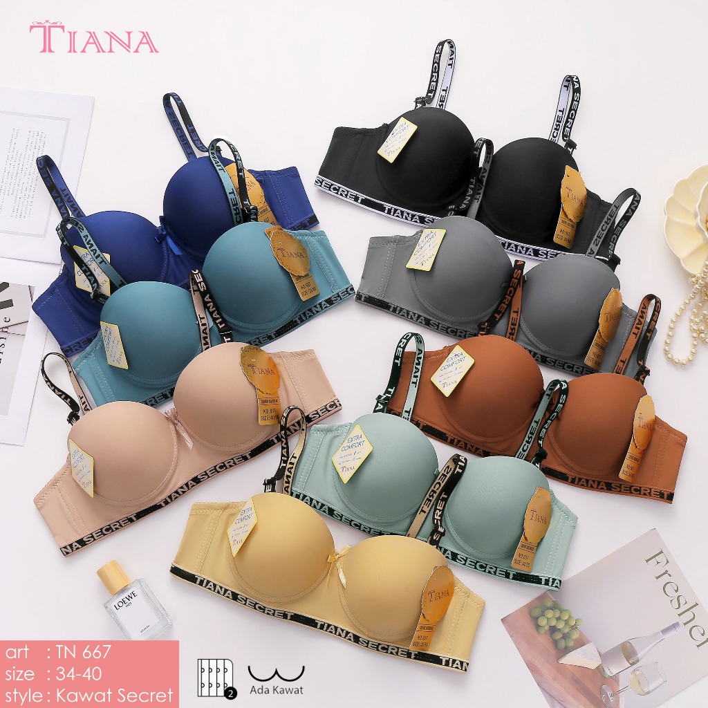 Bra Tiana 667 | BH Pakai Kawat Cup Kecil Busa Tipis