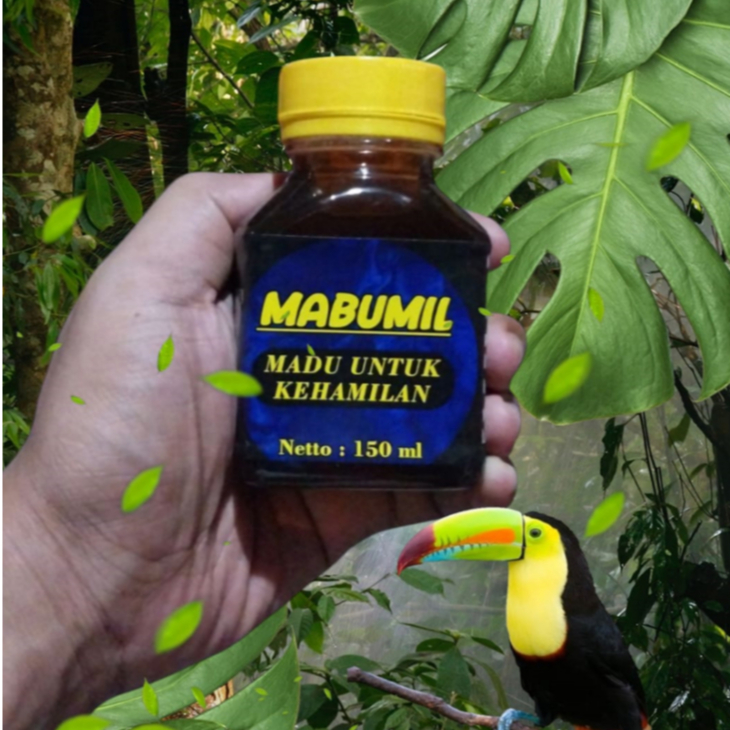 

MABUMIL MADU KEHAMILAN SOLUSI SEHAT IBU HAMIL MADU PROMIL