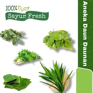 

Daun Jeruk, Daun Salam, Daung Pisang, Daun bawang Sledri