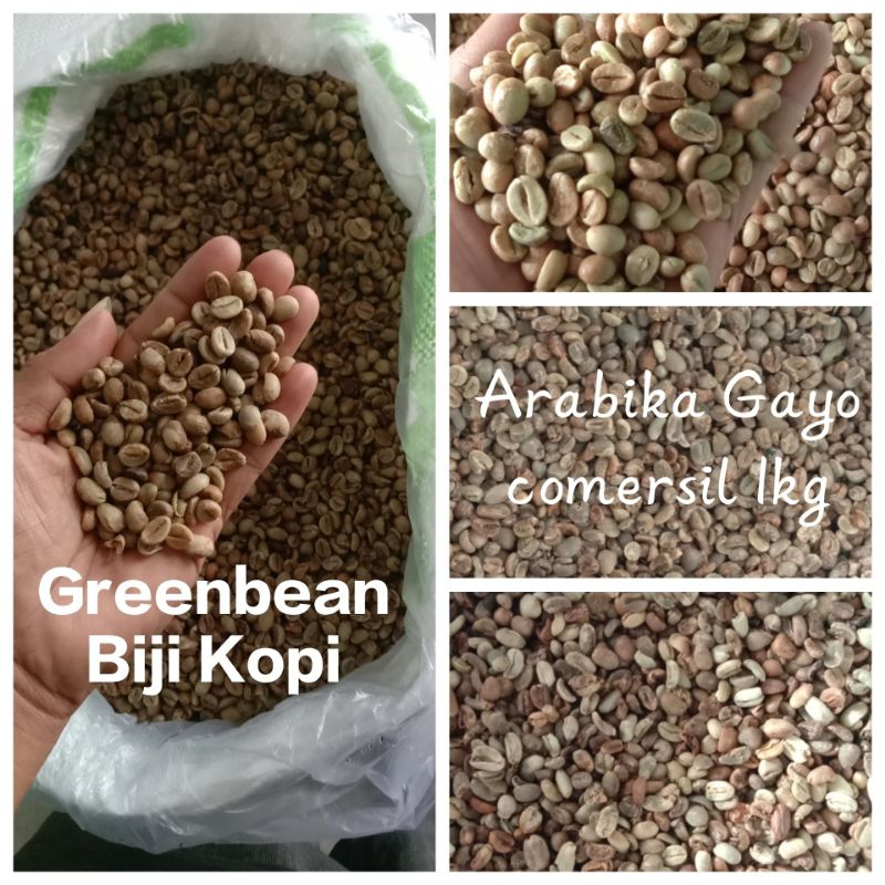 

Greenbean Arabika Aceh Gayo Comersil 1kg