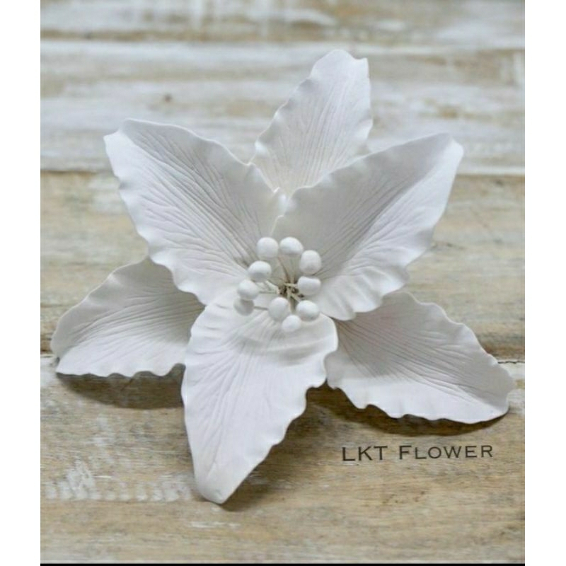 

Gumpaste Flower for Cake decoration Simple Lily ( 2 pcs ) LILY WH
