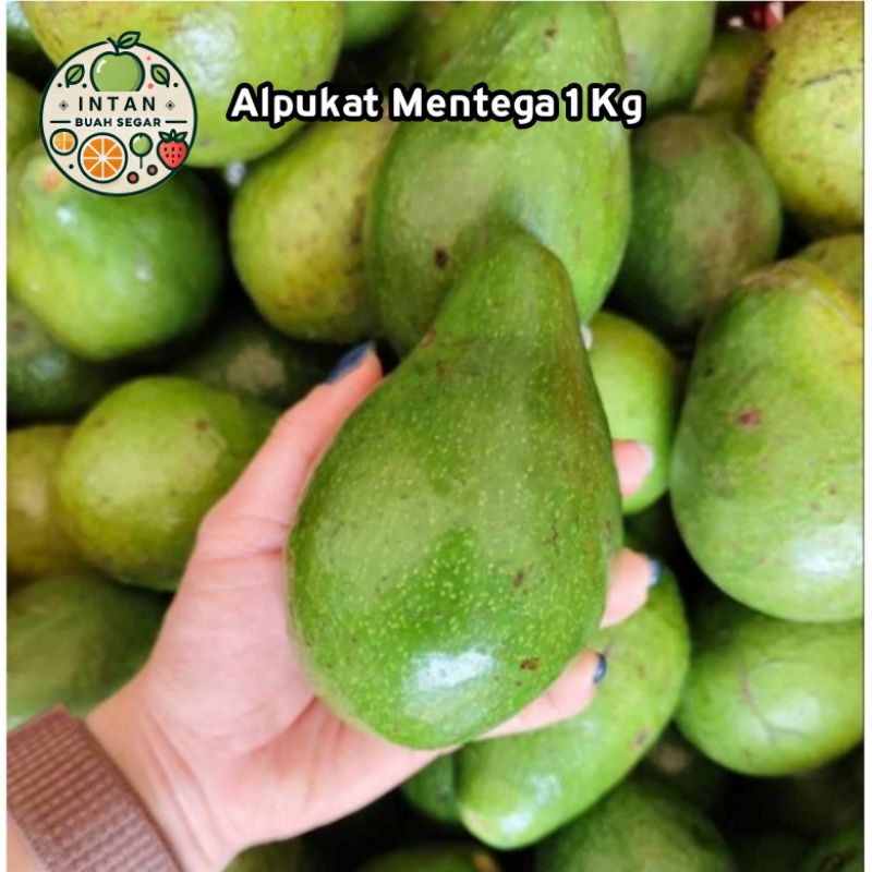 

Alpukat Mentega 1 Kg ( BOLEH REQUEST MATANG / MENTAH ) Buah Alpukat Mentega 1 Kg