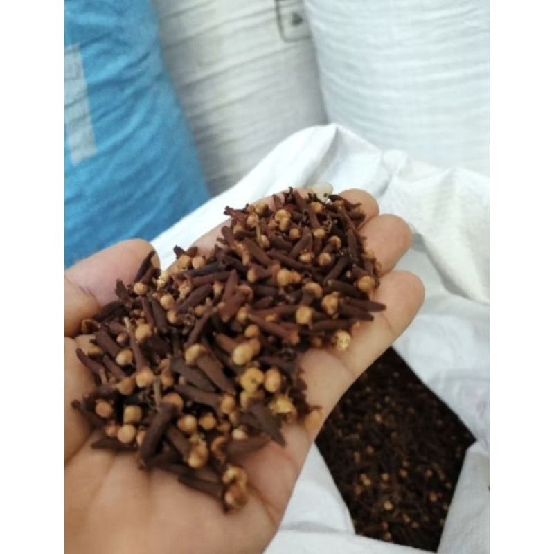 

Cengkeh Bumbu masak harum kualitas premium