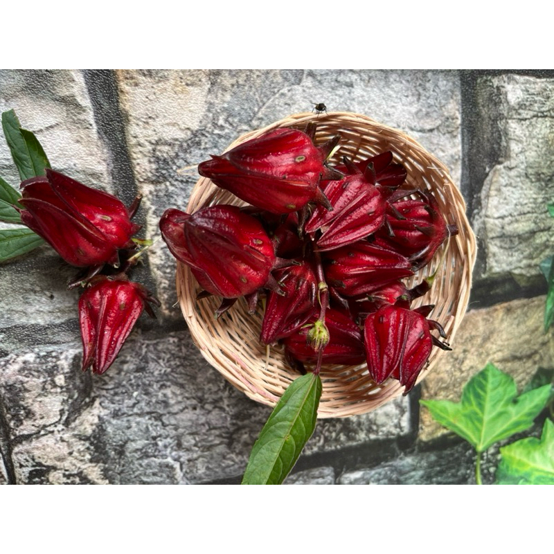 

Bunga rosella 500 grm fresh