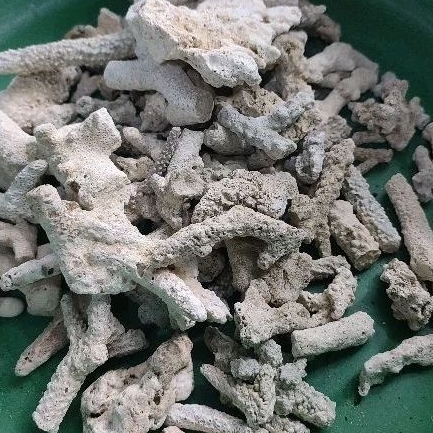 karang jahe media filter/ karang jahe