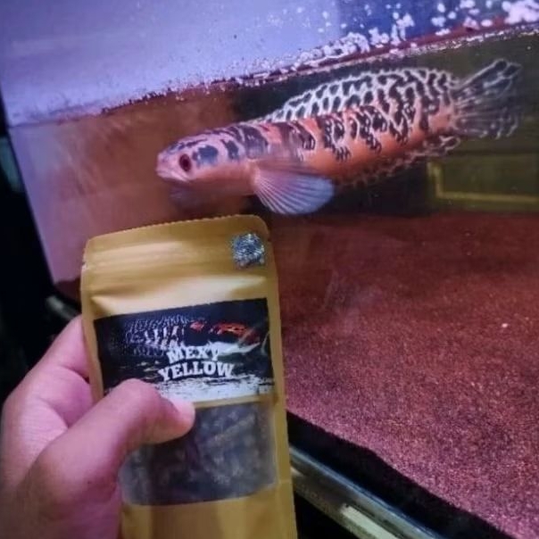 Pelet Mexy Yellow Channa Maru Khusus Treatment Bunga